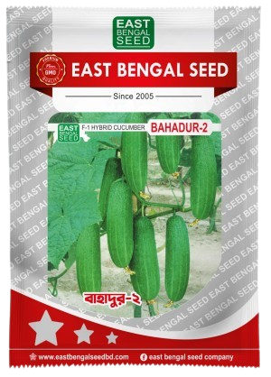 বাহাদুর-২ || Bahadur-2 ( 10 gm )