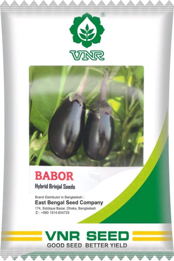 বাবর || Babor ( 5 gm )