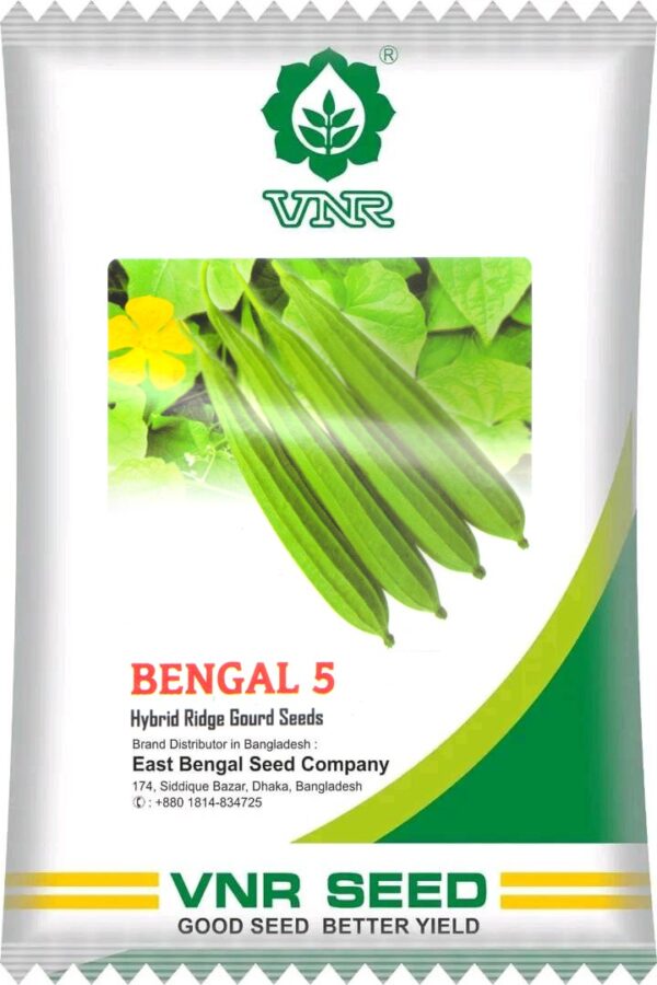 বেঙ্গল-৫ || Bengal-5 ( 10 gm )