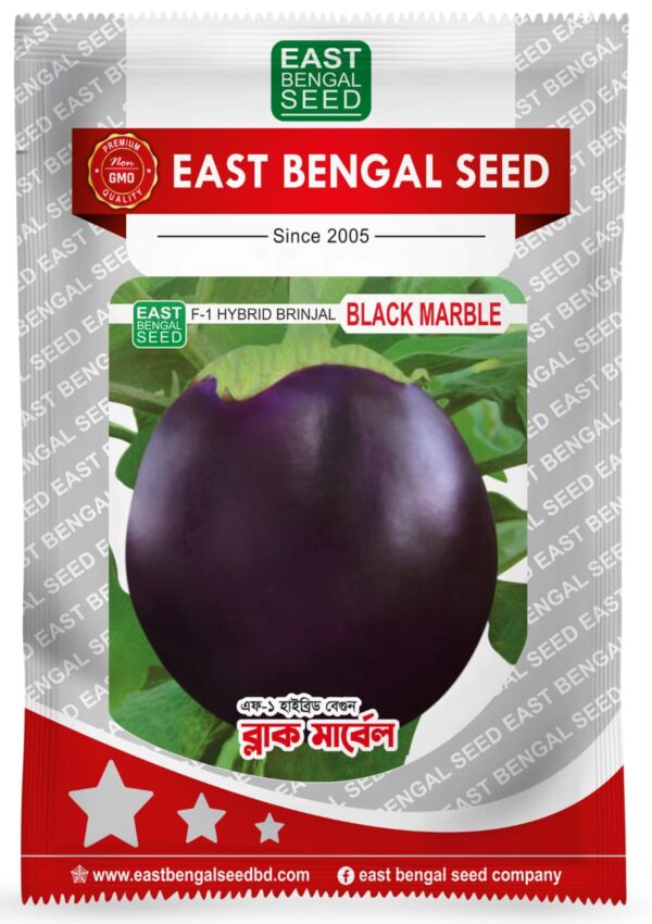 ব্ল্যাক মার্বেল || Black Marble ( 5 gm )