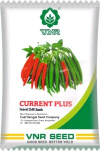 current plus