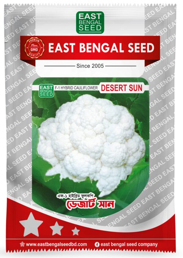 ডেসার্ট সান || Desert Sun ( 10 gm )