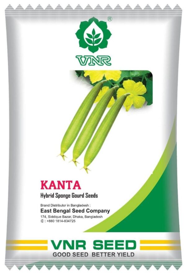 কান্তা || Kanta