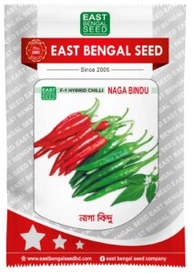 naga bindu