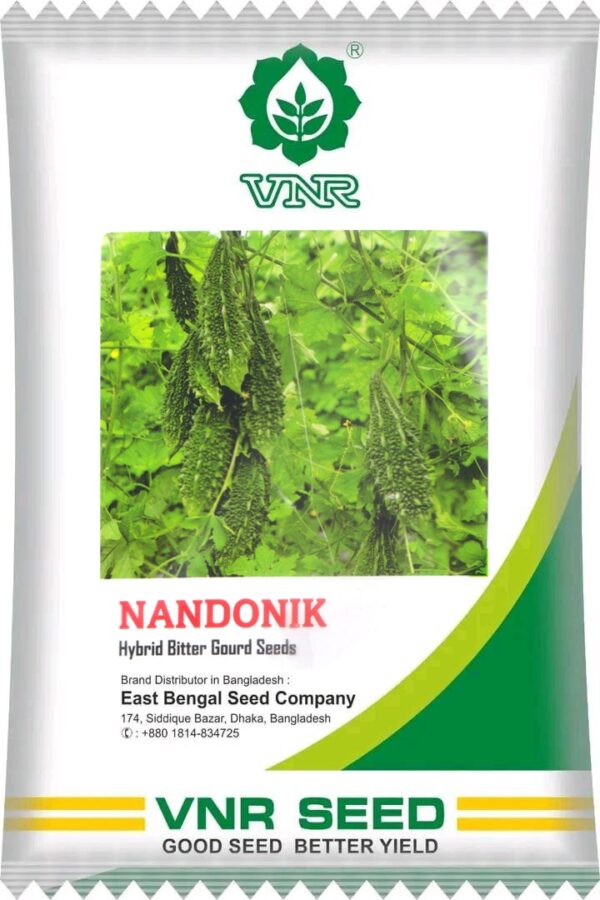 নান্দনিক || Nandonik