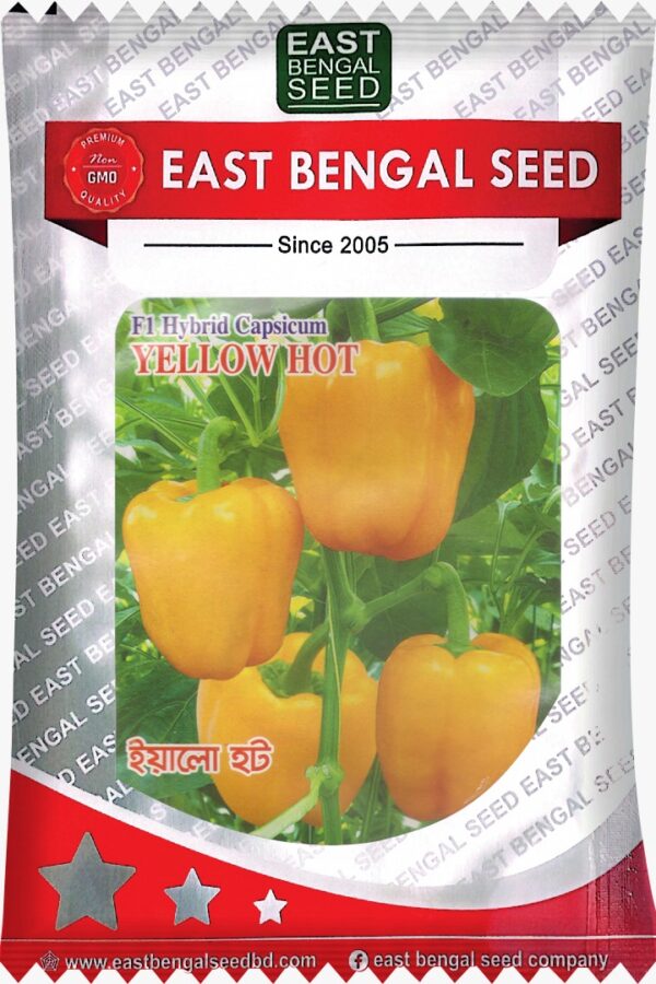 ইয়েলো হট || Yellow Hot ( 1 gm )