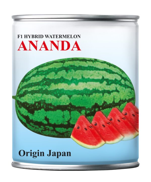 ananda