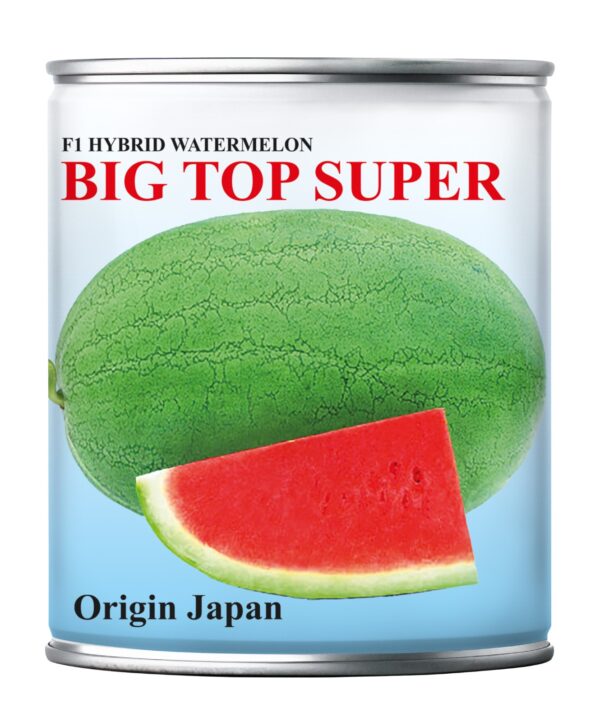 big top super