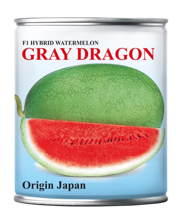 Home gray dragon
