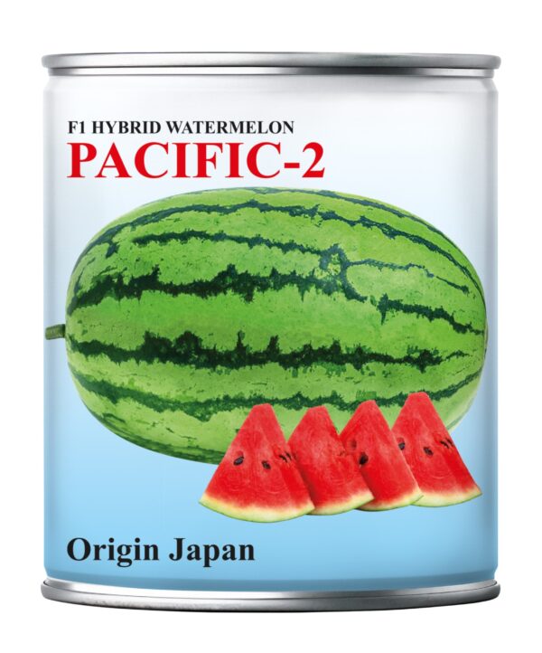 Home pacific 2
